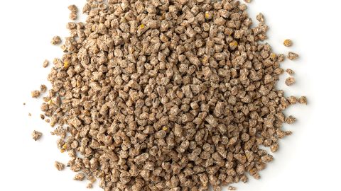 Nocciolino d'oliva: la nostra ricchezza!