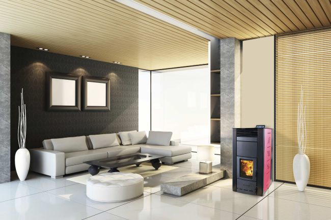 Termostufa a biomassa, brucia pellet, nocciolino, gusci di mandorle